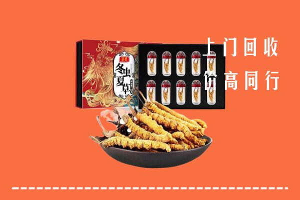 曲周回收虫草